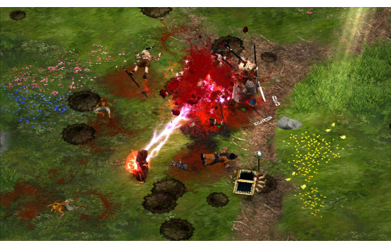 Magicka DLC: Party Robe Bundle