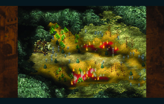 Cultures - Northland