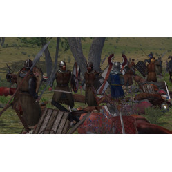 Mount & Blade