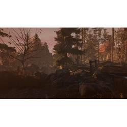 Through the Woods