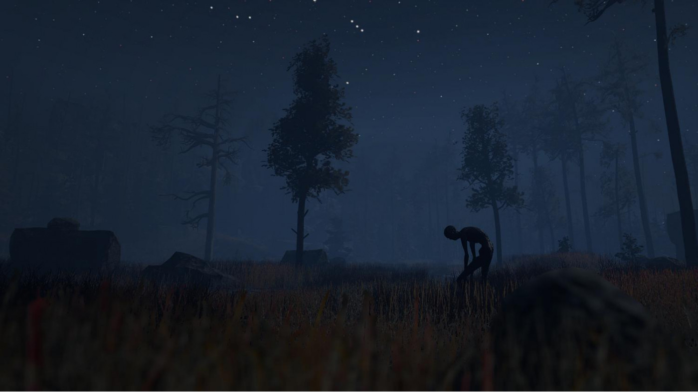 Through the Woods