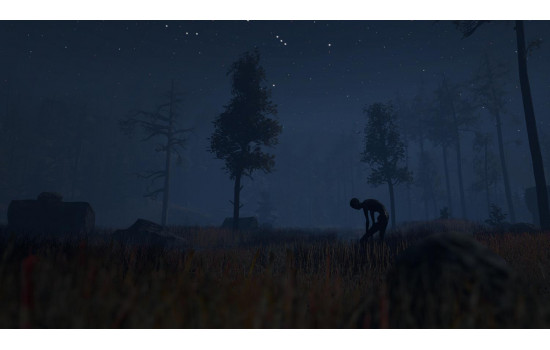 Through the Woods