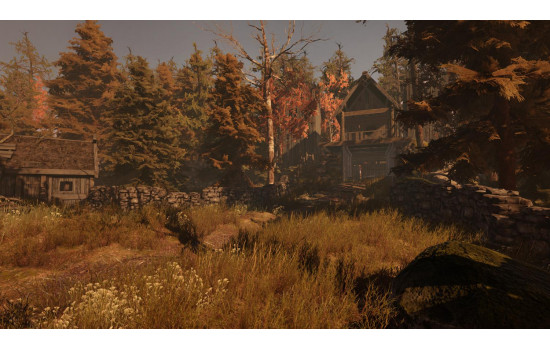 Through the Woods