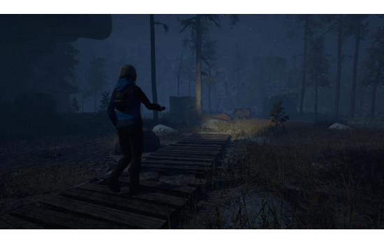 Through the Woods