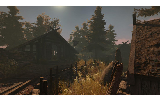Through the Woods