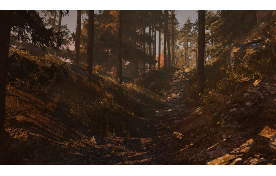 Through the Woods: Digital Collector's Edition