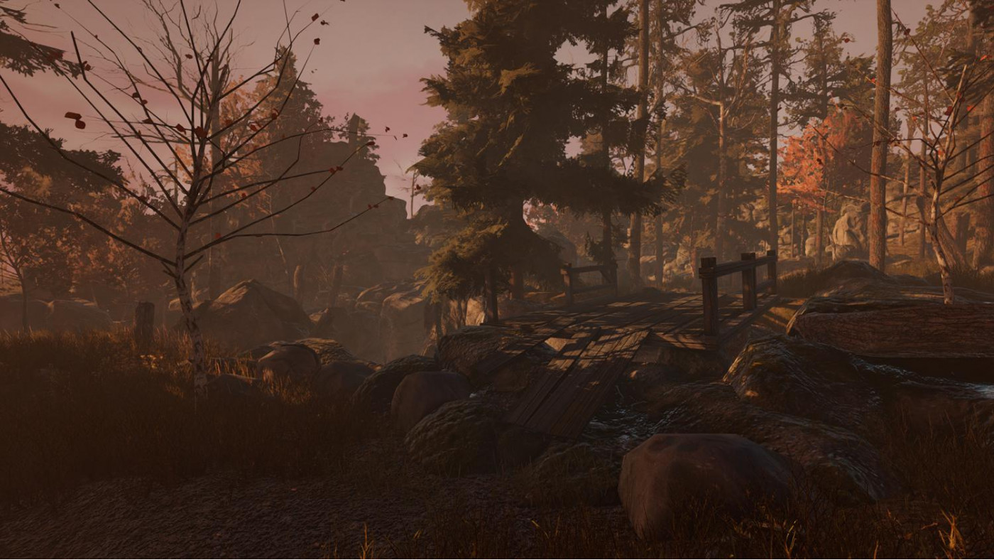 Through the Woods: Digital Collector's Edition