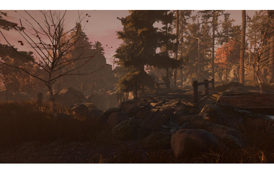 Through the Woods: Digital Collector's Edition