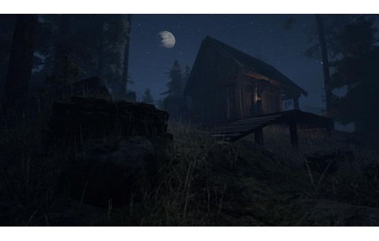 Through the Woods: Digital Collector's Edition