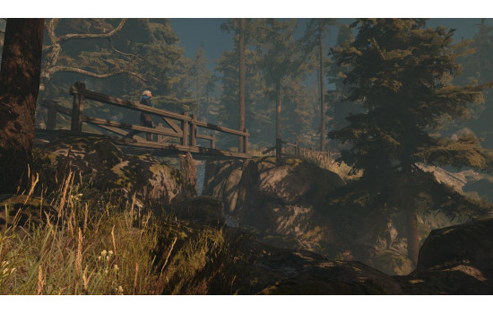 Through the Woods: Digital Collector's Edition