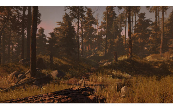 Through the Woods: Digital Collector's Edition