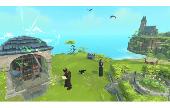 Townsmen VR
