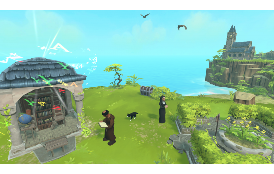 Townsmen VR