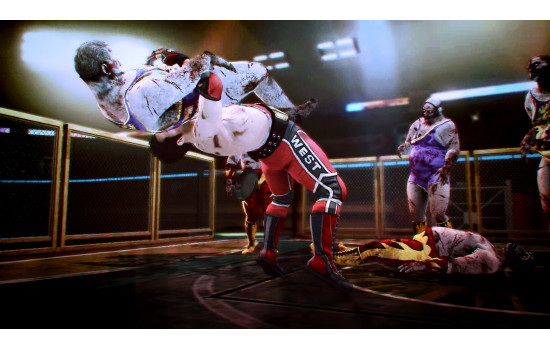 Dead Rising 2: Off the Record