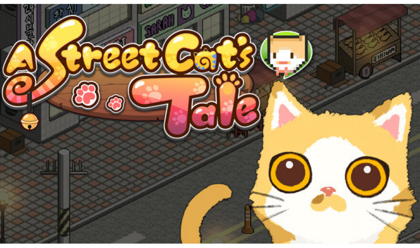 A Street Cat's Tale A Street Cat's Tale