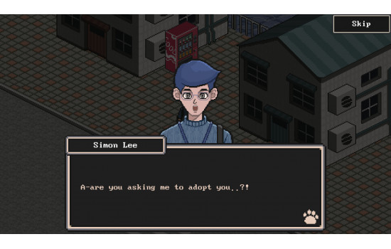 A Street Cat's Tale