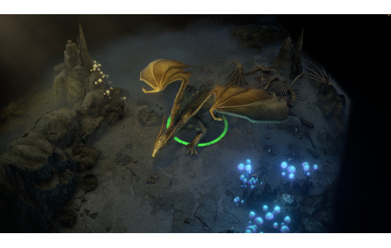 Pathfinder: Wrath of the Righteous - Enhanced Edition