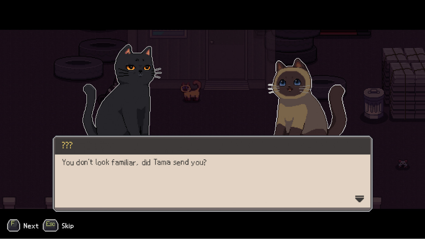 A Street Cat's Tale 2
