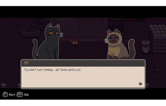 A Street Cat's Tale 2