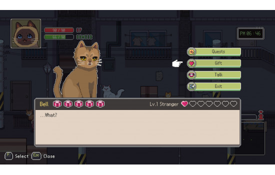 A Street Cat's Tale 2