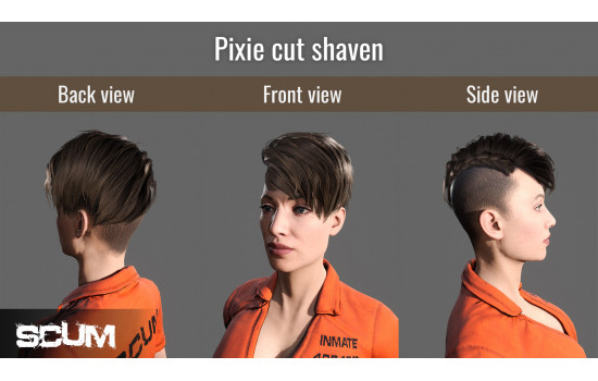 SCUM Female Hair Pack