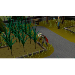 Old School RuneScape 6-Month Membership + OST