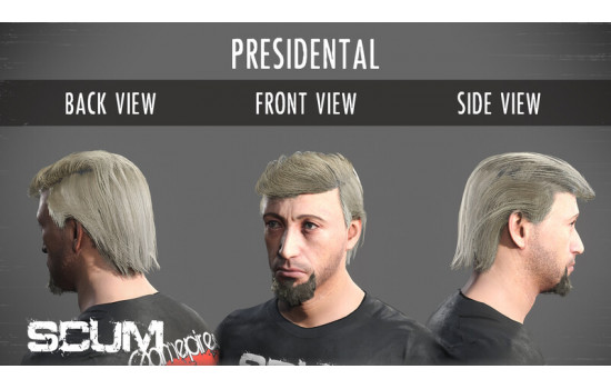 SCUM Male Hair Pack