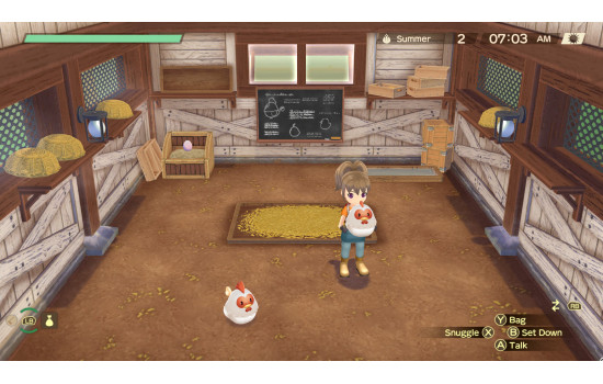 STORY OF SEASONS: A Wonderful Life
