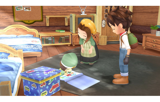 STORY OF SEASONS: A Wonderful Life