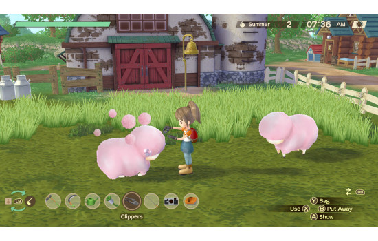 STORY OF SEASONS: A Wonderful Life