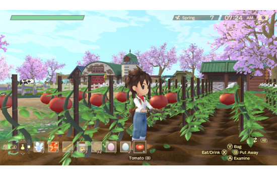 STORY OF SEASONS: A Wonderful Life