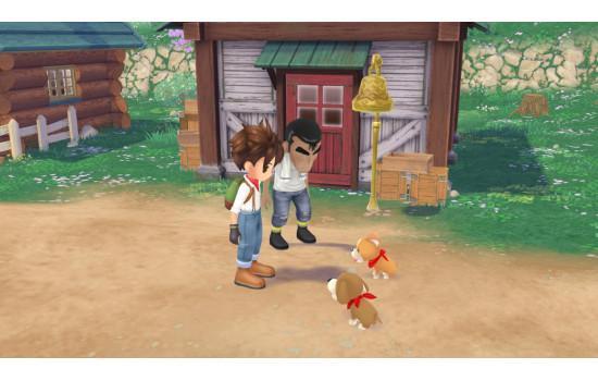 STORY OF SEASONS: A Wonderful Life