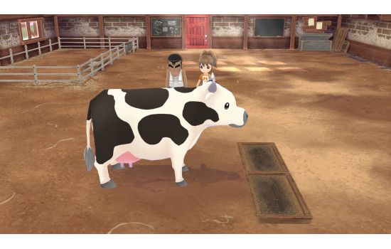 STORY OF SEASONS: A Wonderful Life