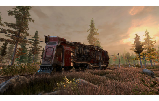 New Cycle - Supporter Pack