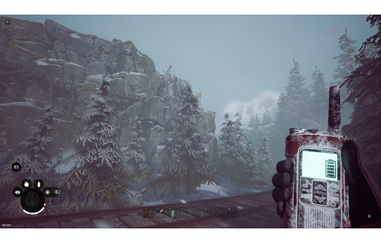 Winter Survival