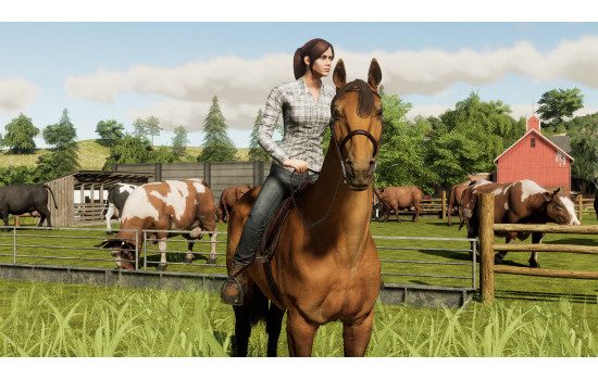 Farming Simulator 19 - Platinum Edition