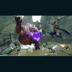 MONSTER HUNTER RISE
