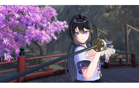SAMURAI MAIDEN DELUXE EDITION