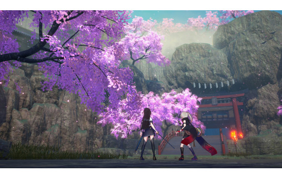 SAMURAI MAIDEN DELUXE EDITION