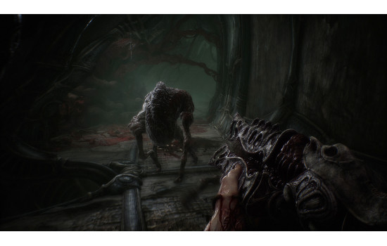 Scorn