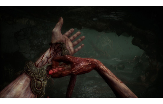 Scorn Deluxe Edition