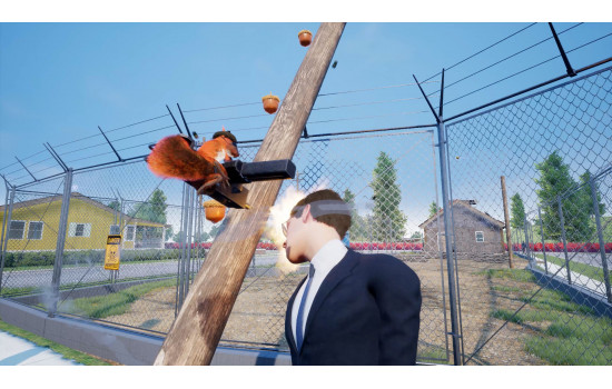 Squirrel with a Gun