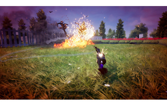 Squirrel with a Gun