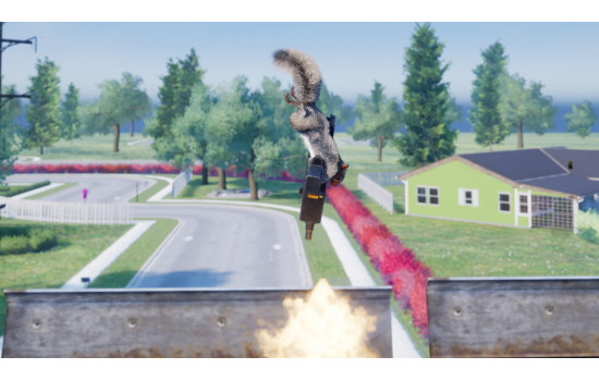Squirrel with a Gun