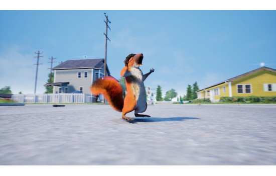 Squirrel with a Gun