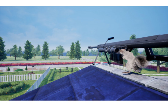 Squirrel with a Gun