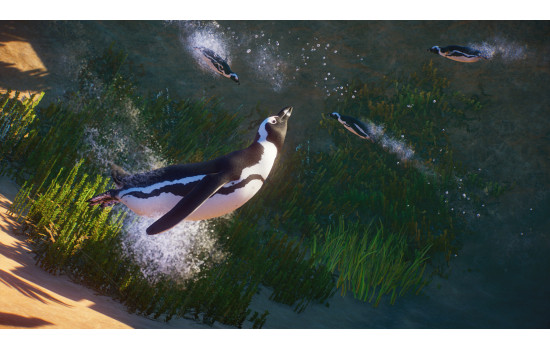 Planet Zoo: Africa Pack