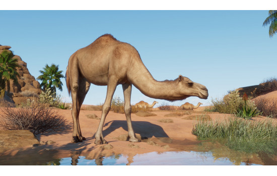 Planet Zoo: Arid Animal Pack