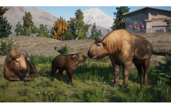 Planet Zoo: Eurasia Animal Pack