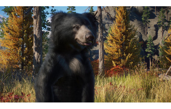 Planet Zoo: Eurasia Animal Pack